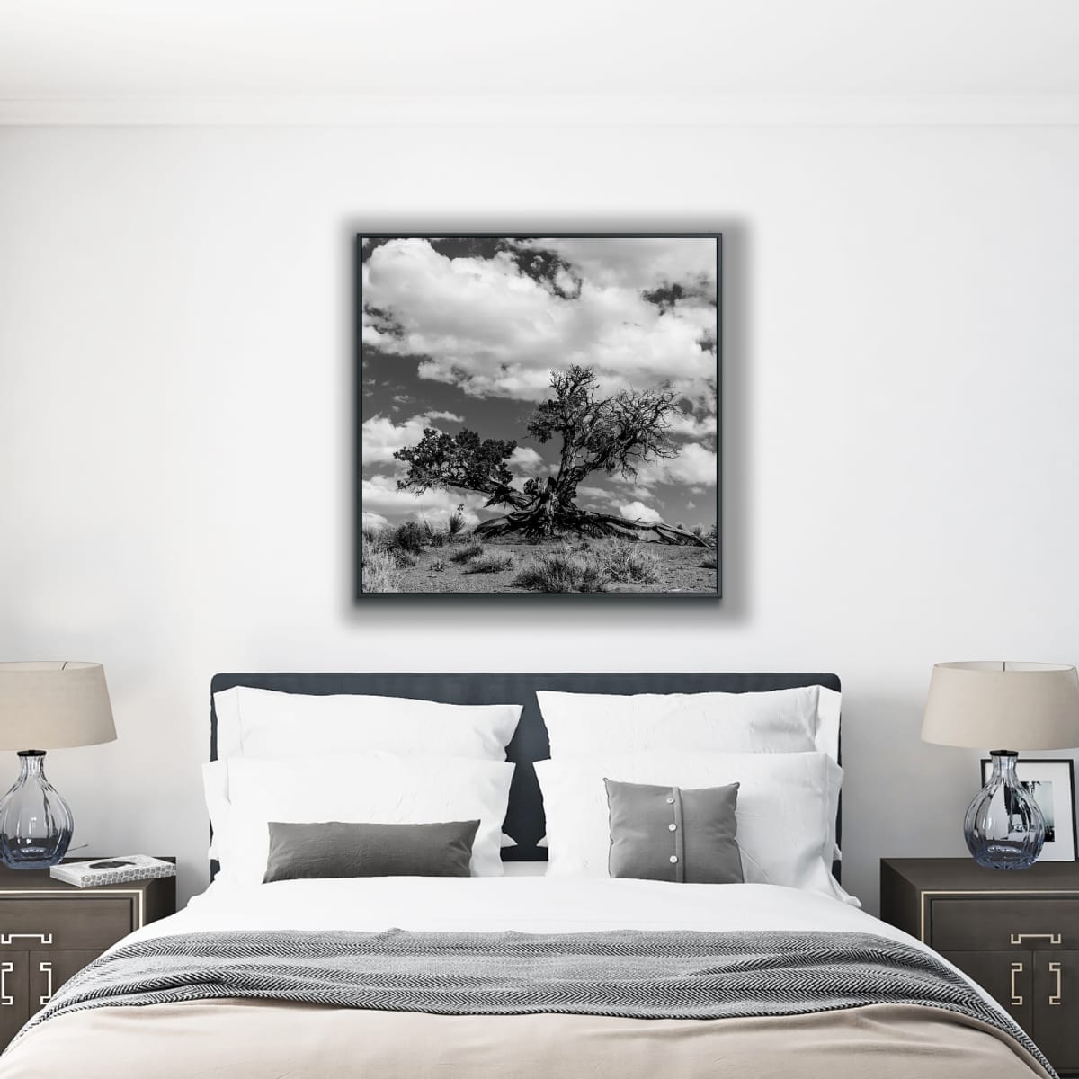 Black and white photograph of a large tree with a rugged trunk against a cloudy sky hanging framed above a bed in a room decorated in browns, beiges, white and gray.