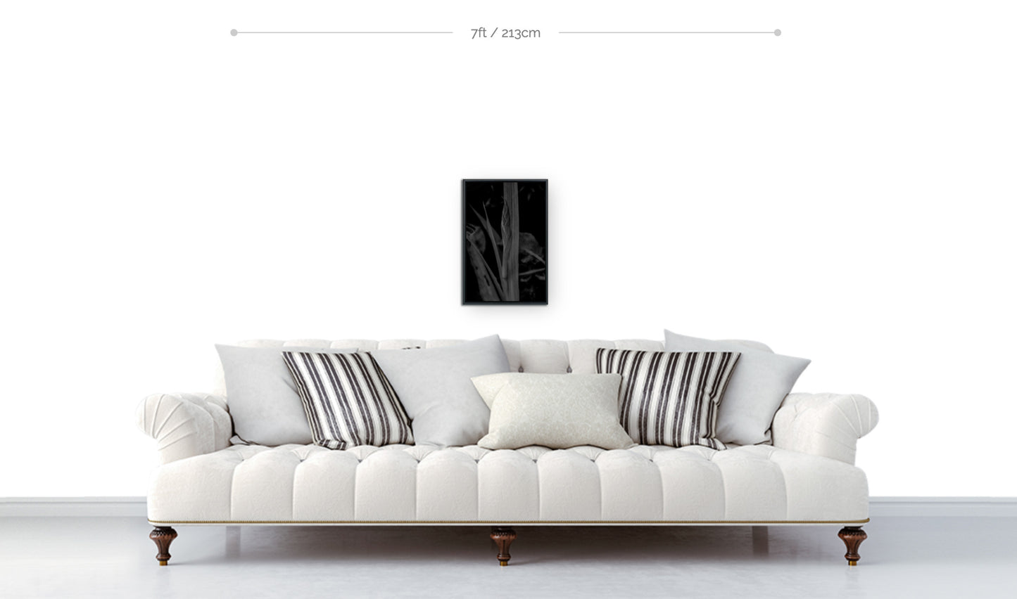Botanical wall hanging 18x12 framed print displayed on wall above sofa