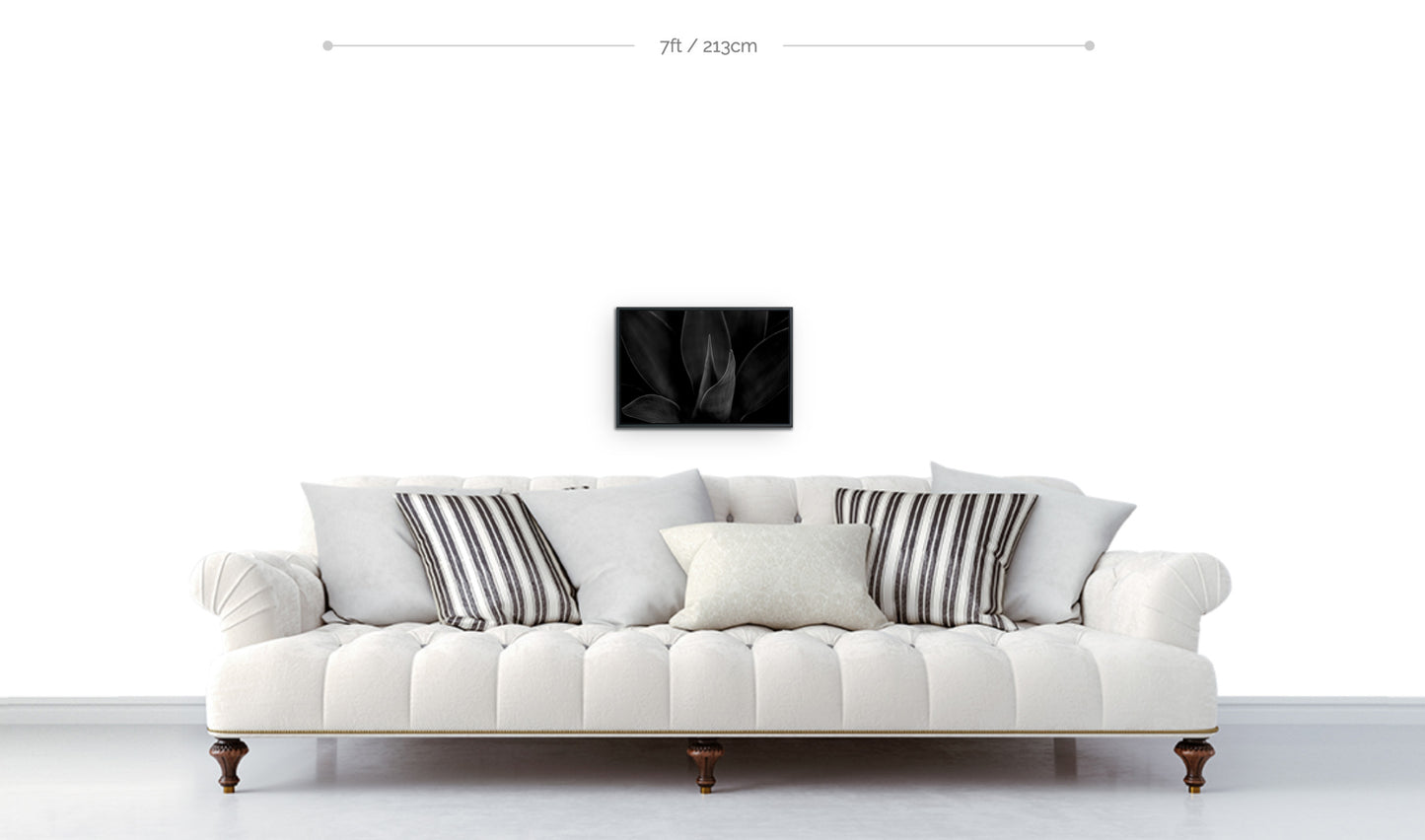 Metal print framed botanical art photograph clack and white closeup cactus leaves hanging above sofa