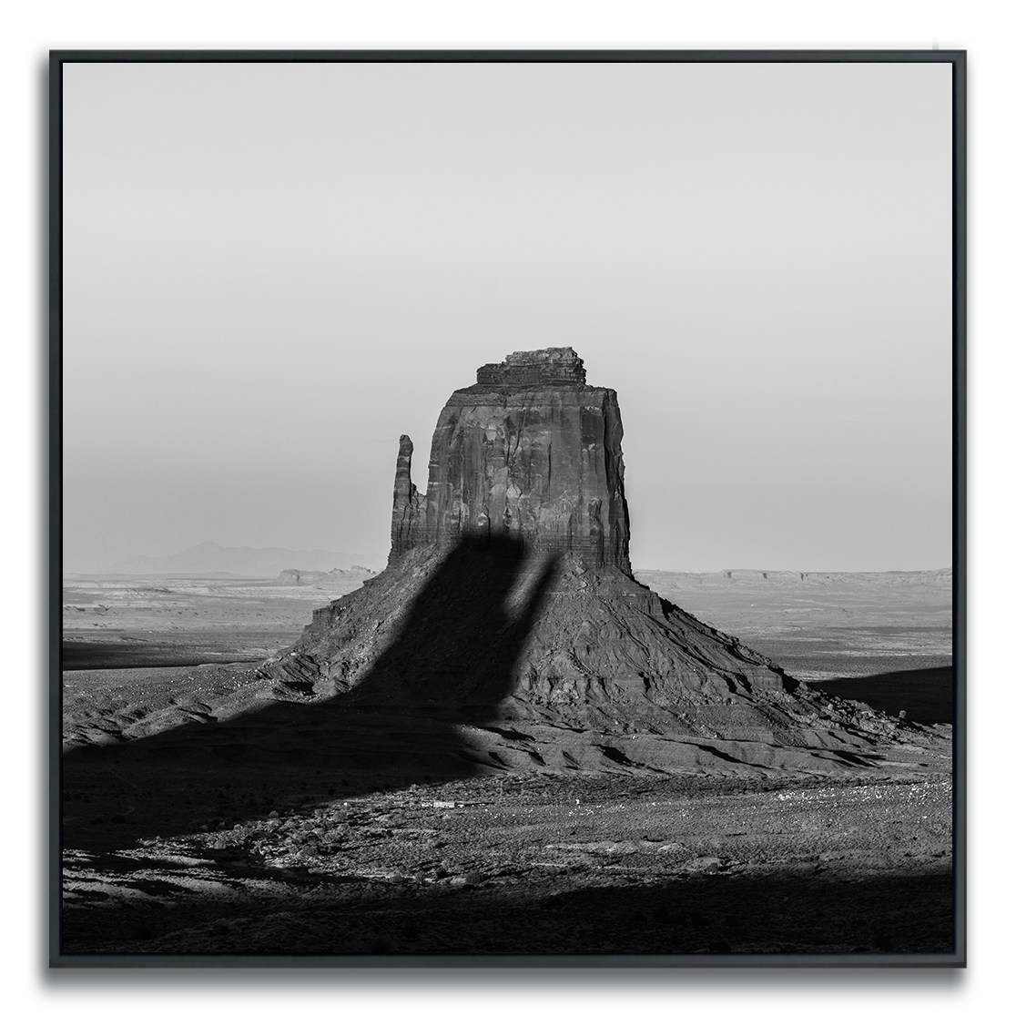 Black and white fine art photograph dried tree in Monument Valley against dramatic wispy clouds