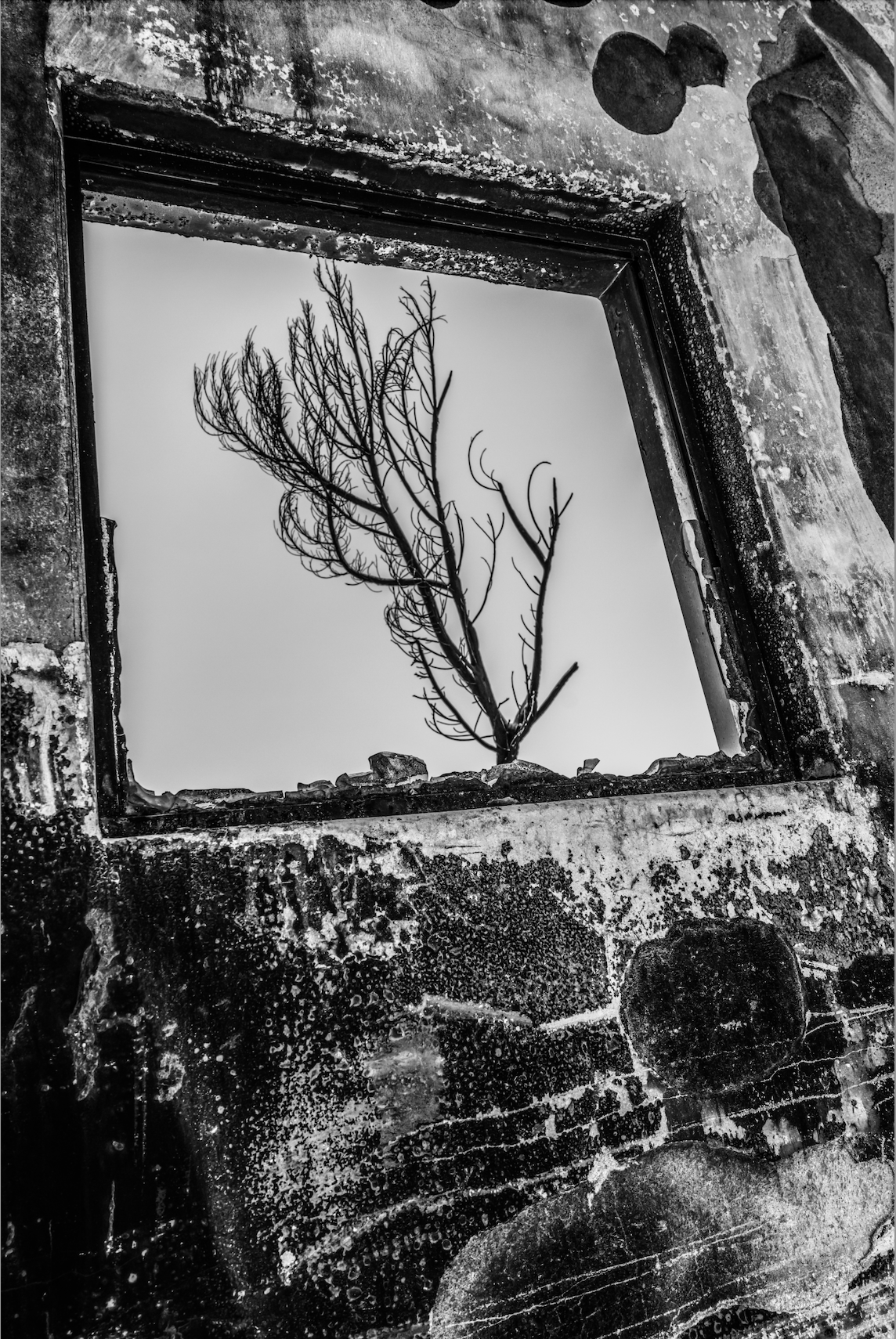 Photographic Compositions | One-of-a-Kind Mixed Media Artwork | Created by Mark Maryanovich