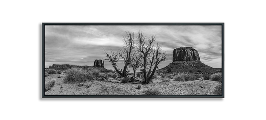 Black and white fine art photograph dried desert bush against Monument Valley Buttes