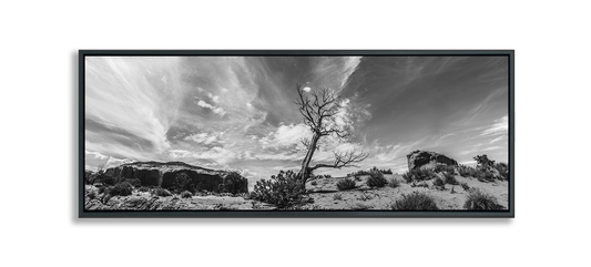 Fine Art Photography Print black and white Monument Valley dried desert tree against dramatic wispy clouds