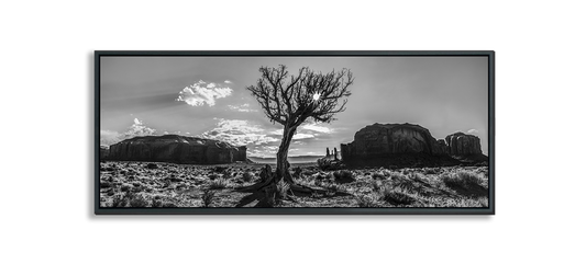 Monument Valley Desert Tree in between Buttes in background black and white fine art print