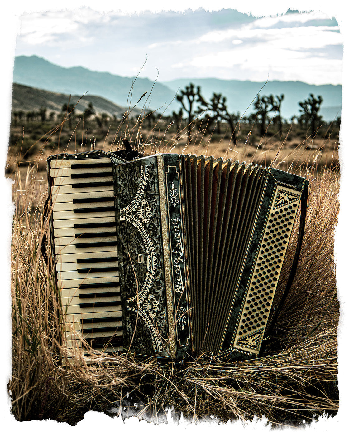 Accordian in a desert landscape with mountains in the background