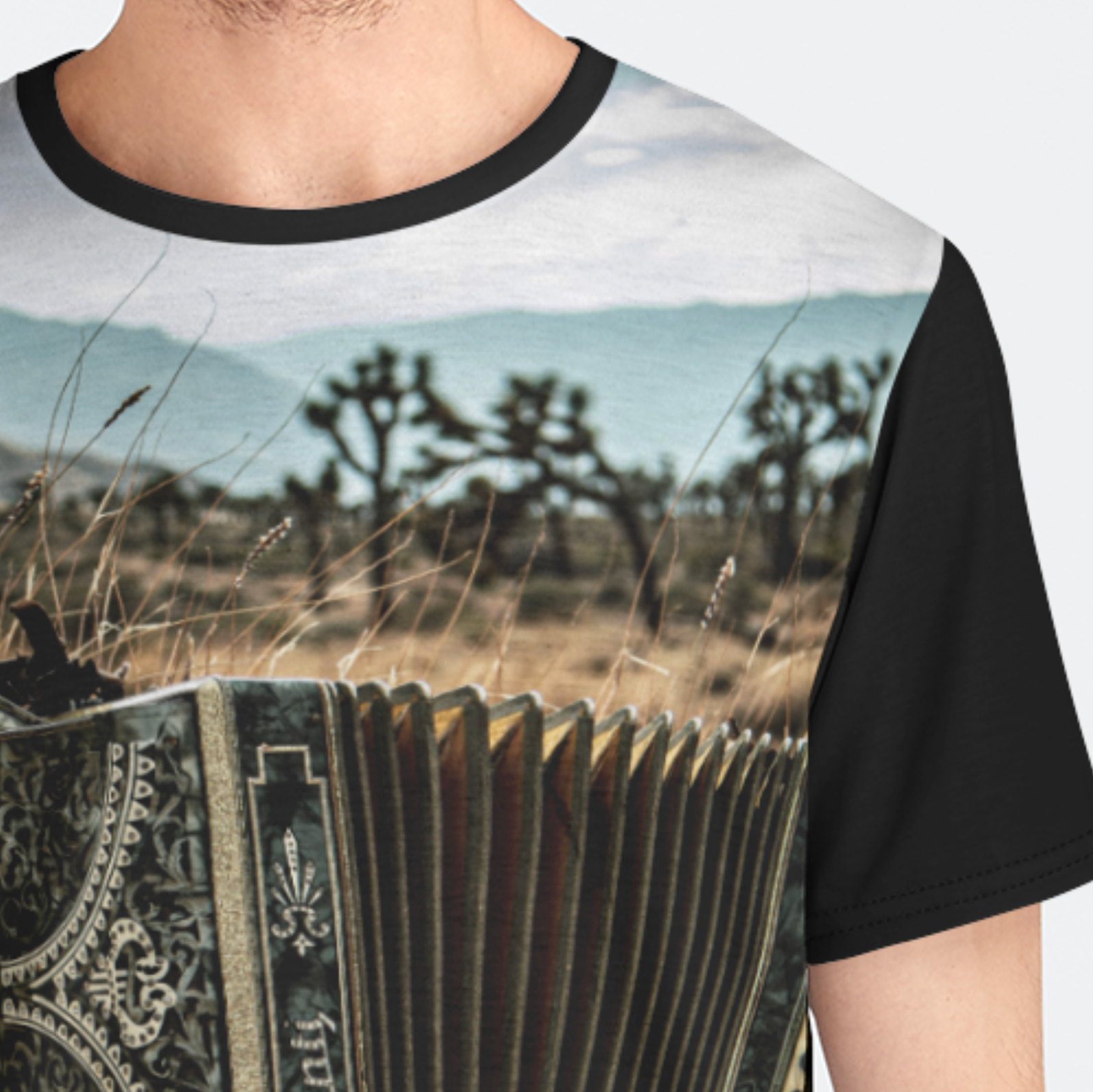 T-shirt with a desert landscape and accordion design on a plain background