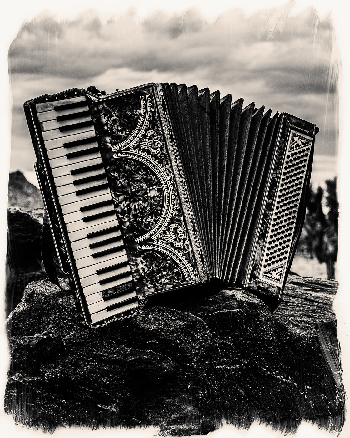 Black and white accordion on a rock with a cloudy sky background