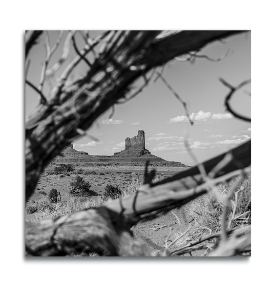 Monument Valley Square Metal Fine Art Print desert butte in long shot between dried branches out of focus in foreground