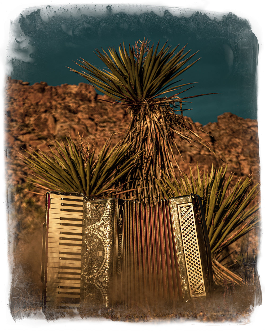 Decorative accordion with desert plants against a rocky mountain background