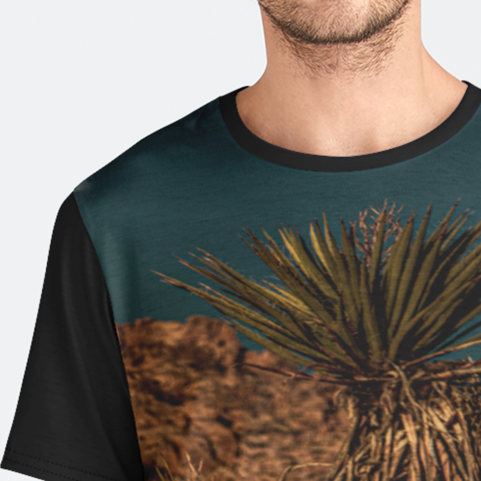 T-shirt with a desert plant design on a plain background
