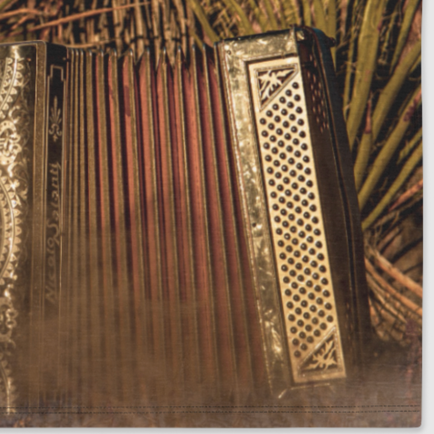 Close-up of a decorative accordion with intricate patterns on a natural background