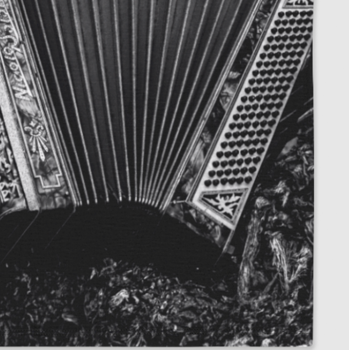 Black and white architectural detail with decorative elements
