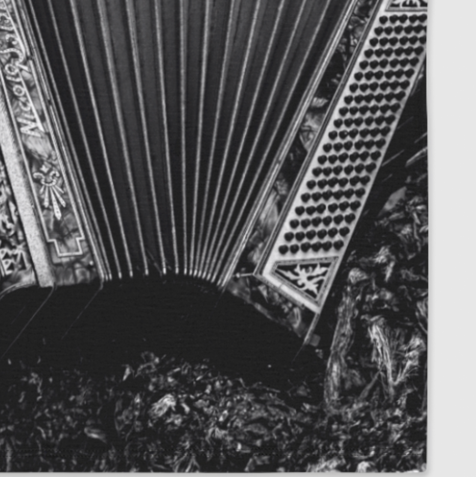 Black and white architectural detail with decorative elements