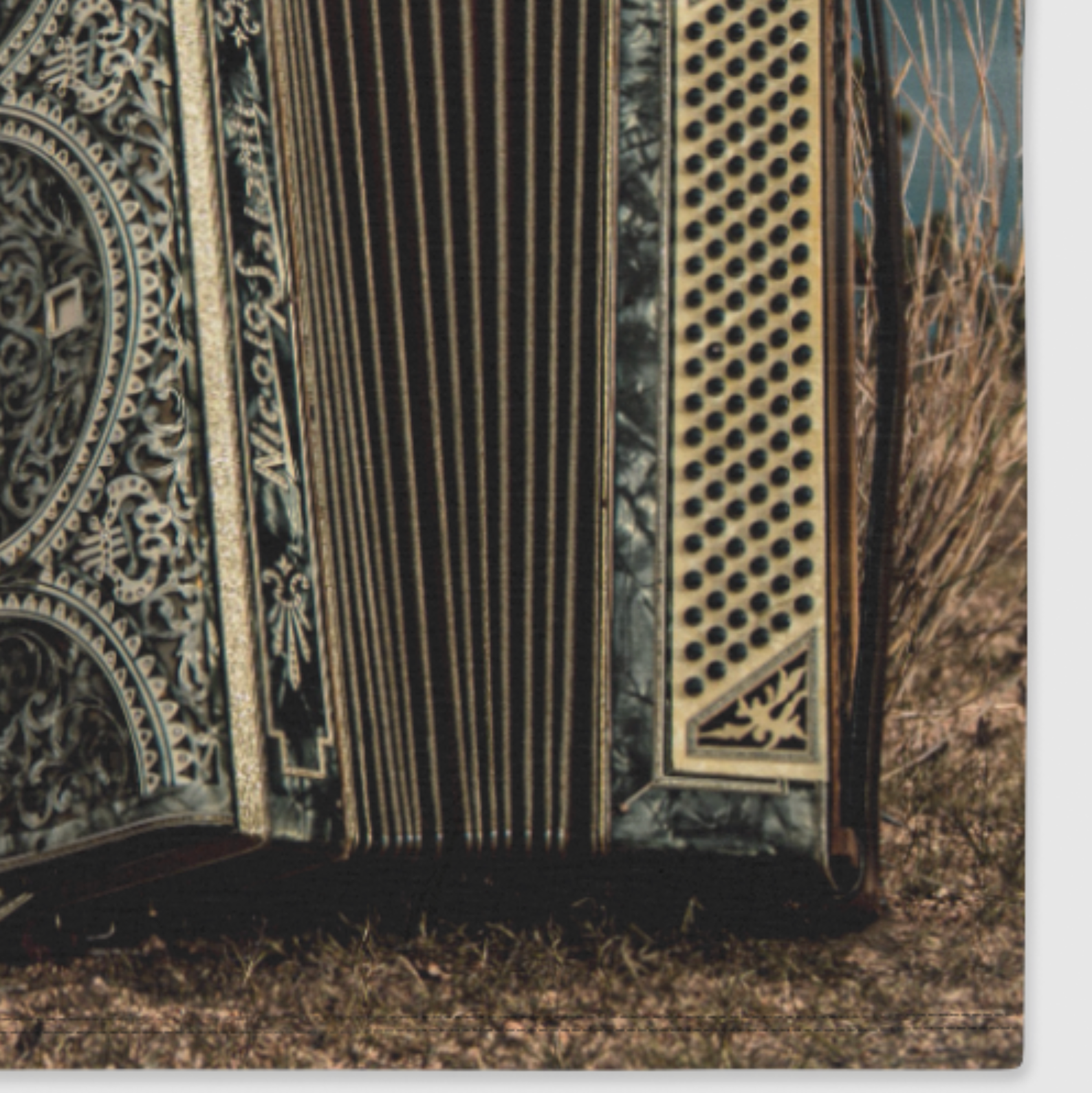 Close-up of an accordion with detailed design on a natural background
