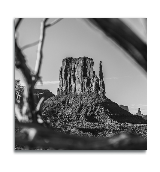 Monument Valley Black and White Fine Art Metallic Print Desert Butte through out of focus tree branches in foreground