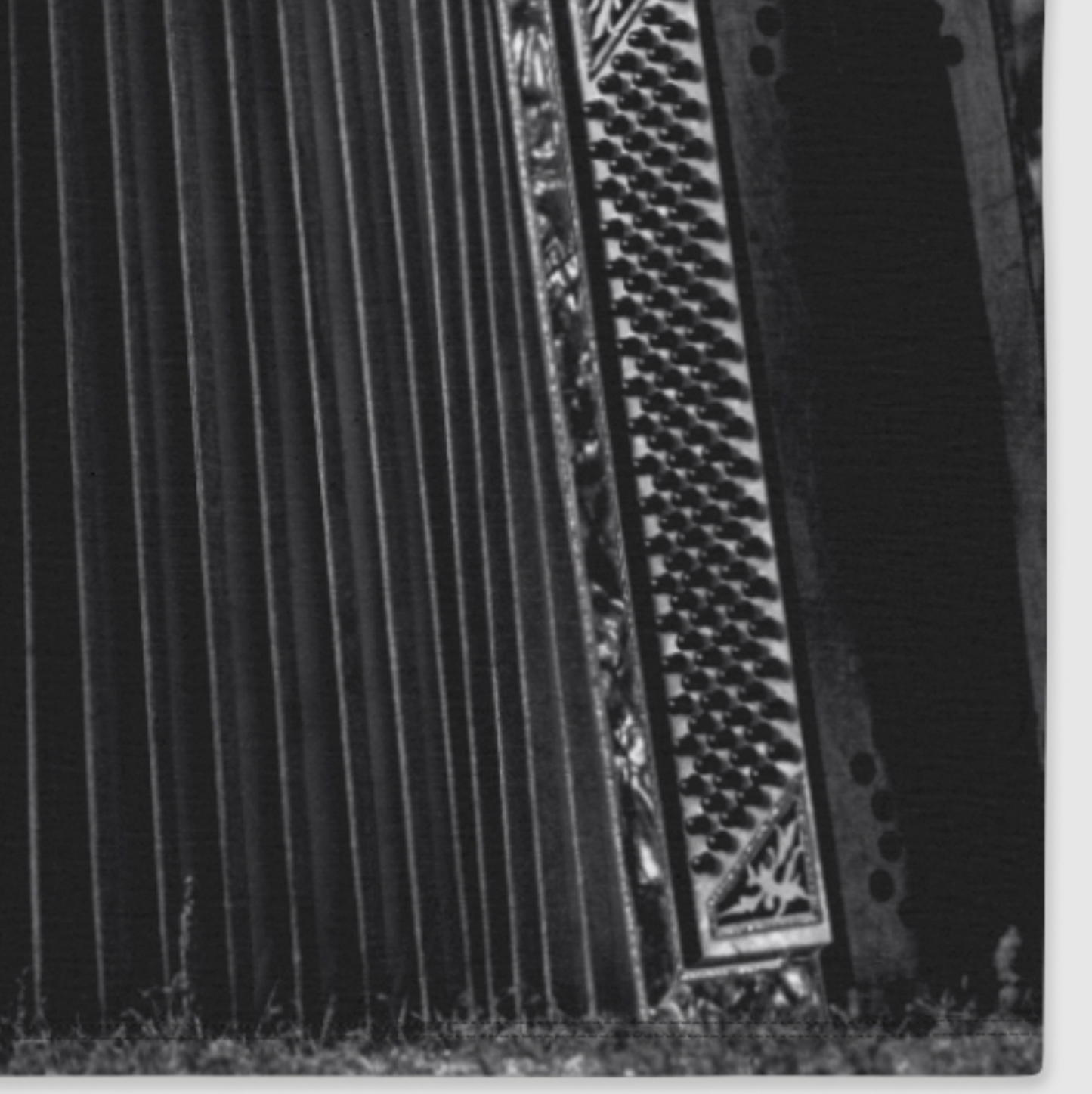 Close-up of an accordion with a focus on the bellows and keys.