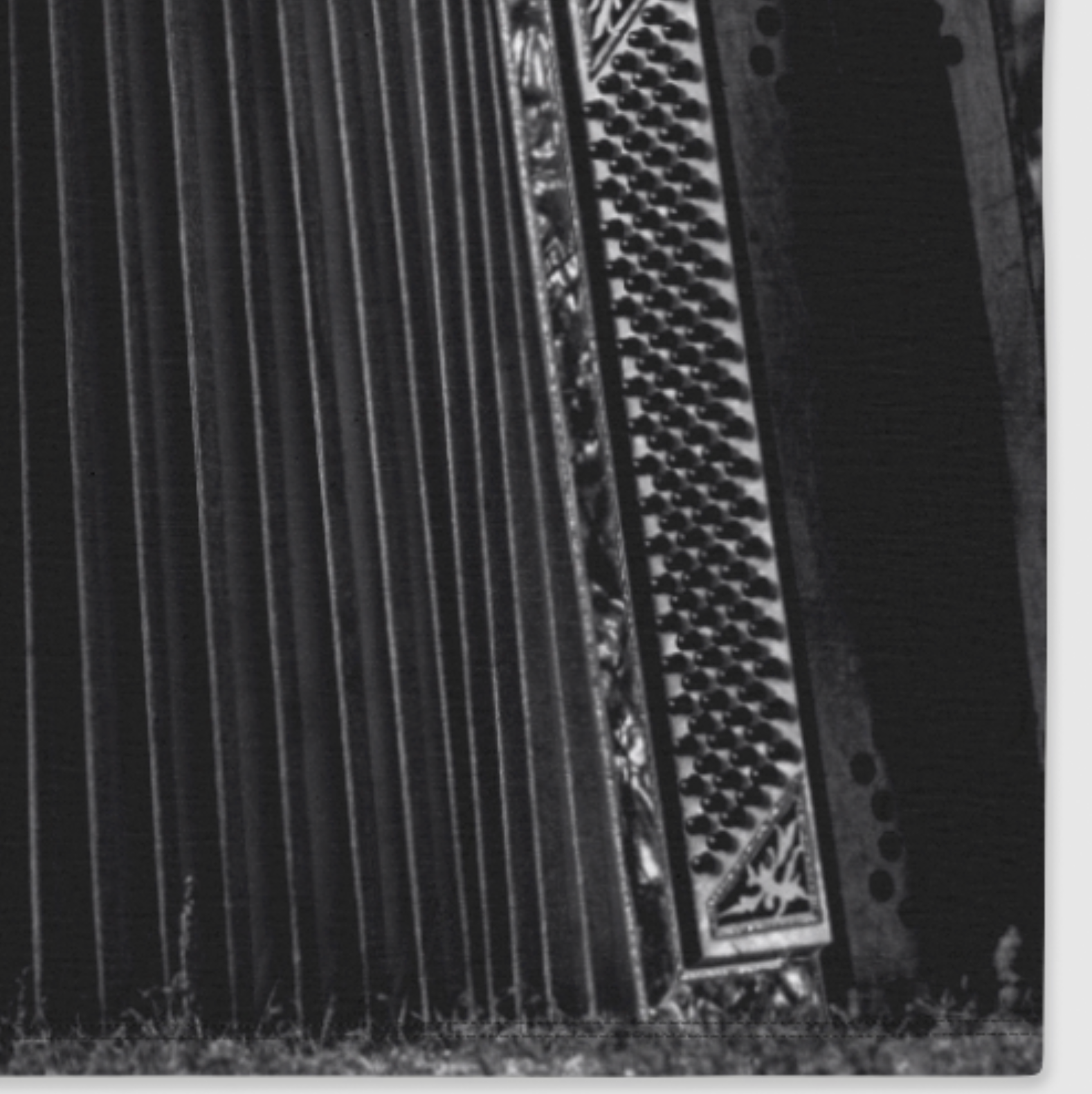 Close-up of an accordion with a focus on the bellows and keys.