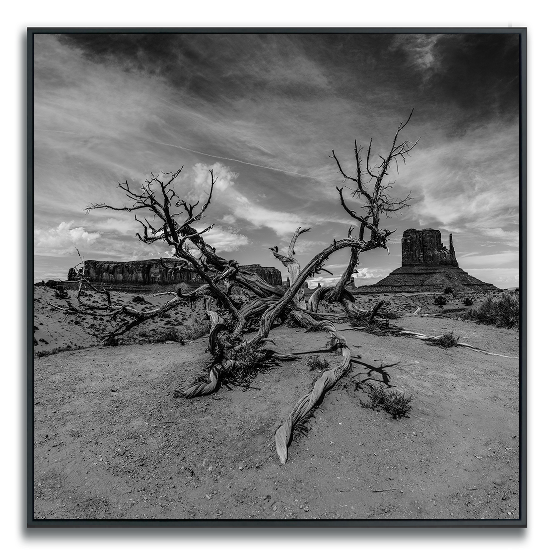 Black and white landscape of a desert with a dead tree and Monument Valley in the background.