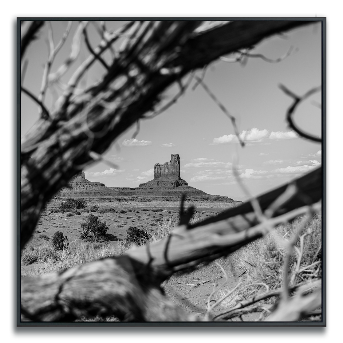 Black and white landscape of Monument Valley with a butte in the distance, framed by branches.