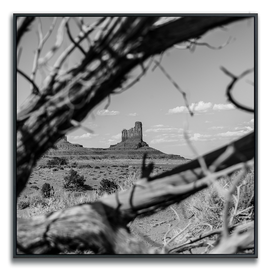 Black and white landscape of Monument Valley with a butte in the distance, framed by branches.
