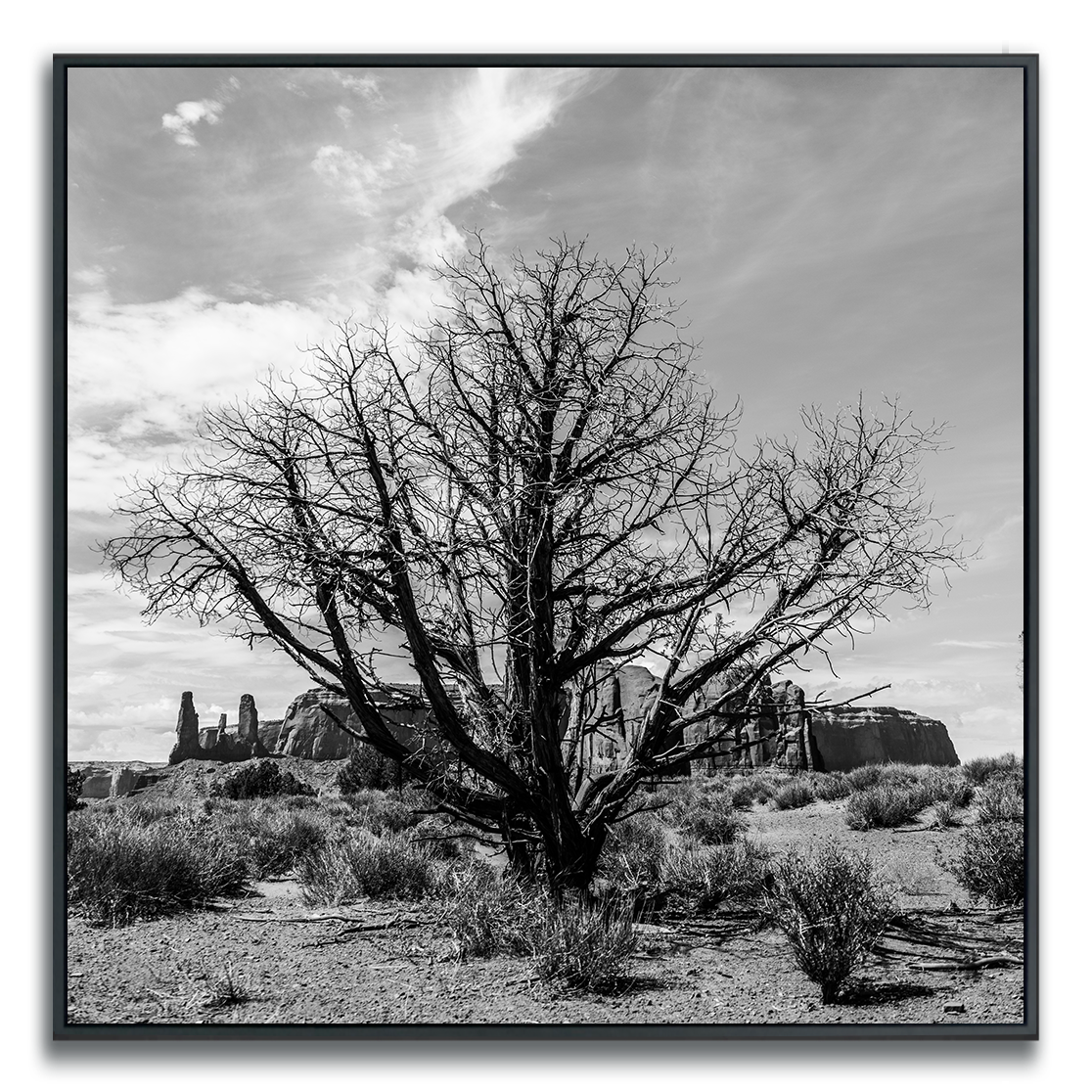 Black and white photograph of a lone dried tree in foreground, Monument Valley in distance.