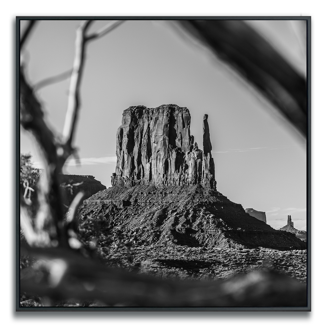 Monument Valley iconic butte framed square photograph in black and white, out of focus branches in foreground.