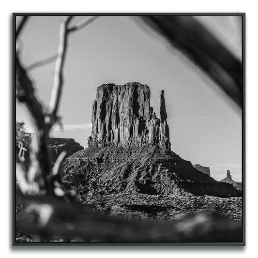 Monument Valley iconic butte framed square photograph in black and white, out of focus branches in foreground.