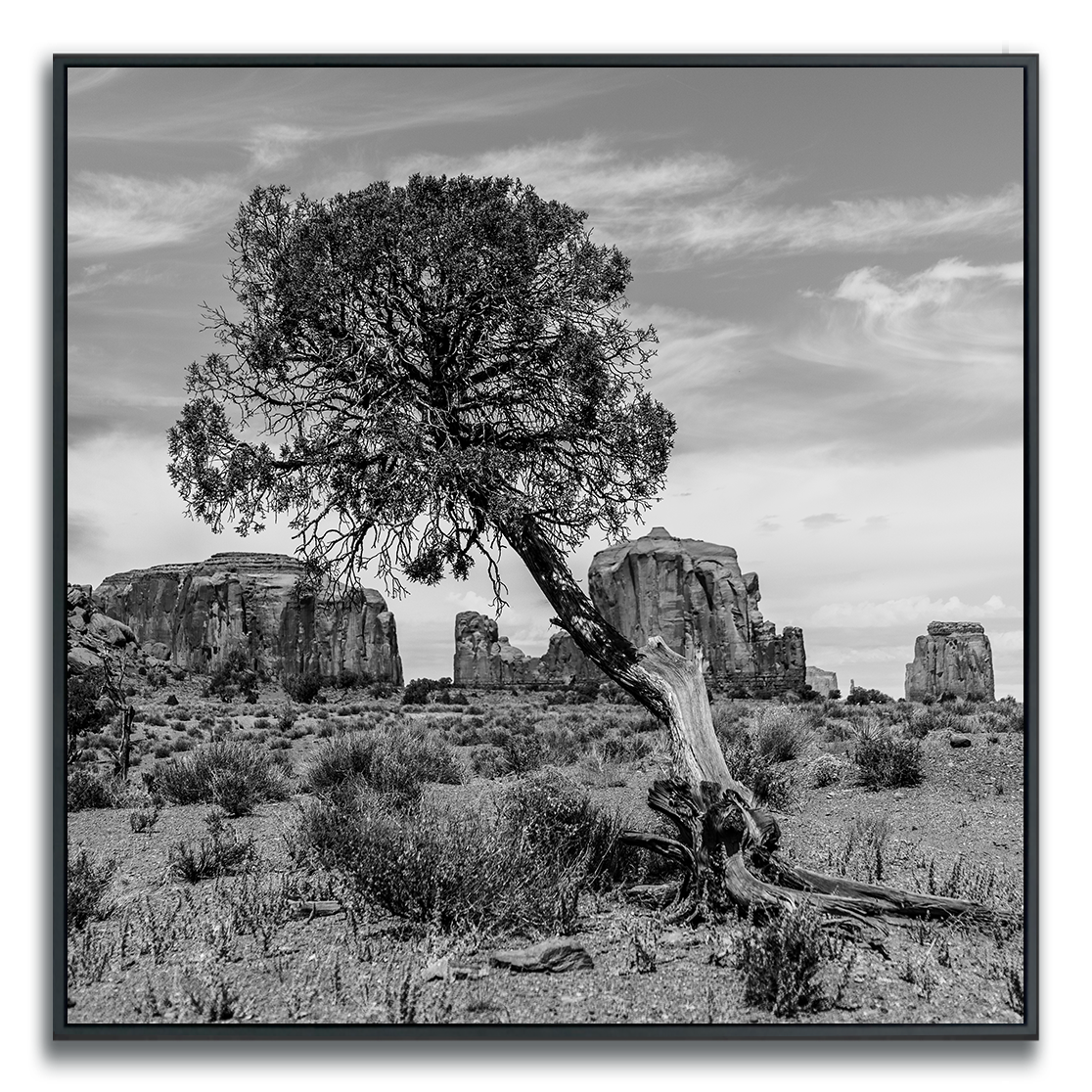 Black and white photograph of a lone slanted tree Monument Valley rock formations in background.