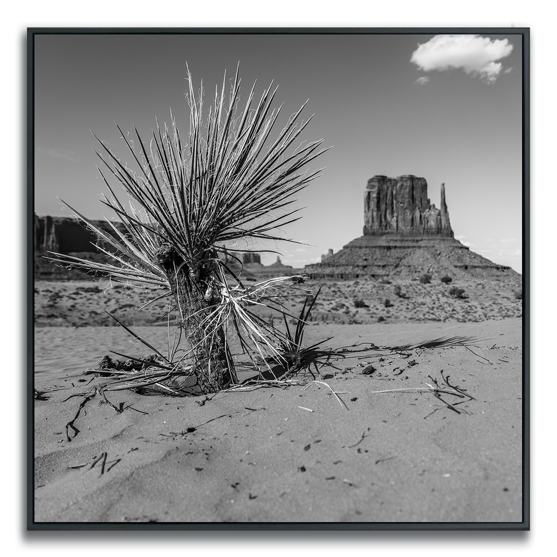 Black and white photograph of a desert landscape with a cactus and iconic Monument Valley butte in the background.