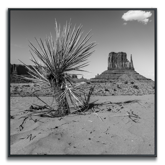 Black and white photograph of a desert landscape with a cactus and iconic Monument Valley butte in the background.