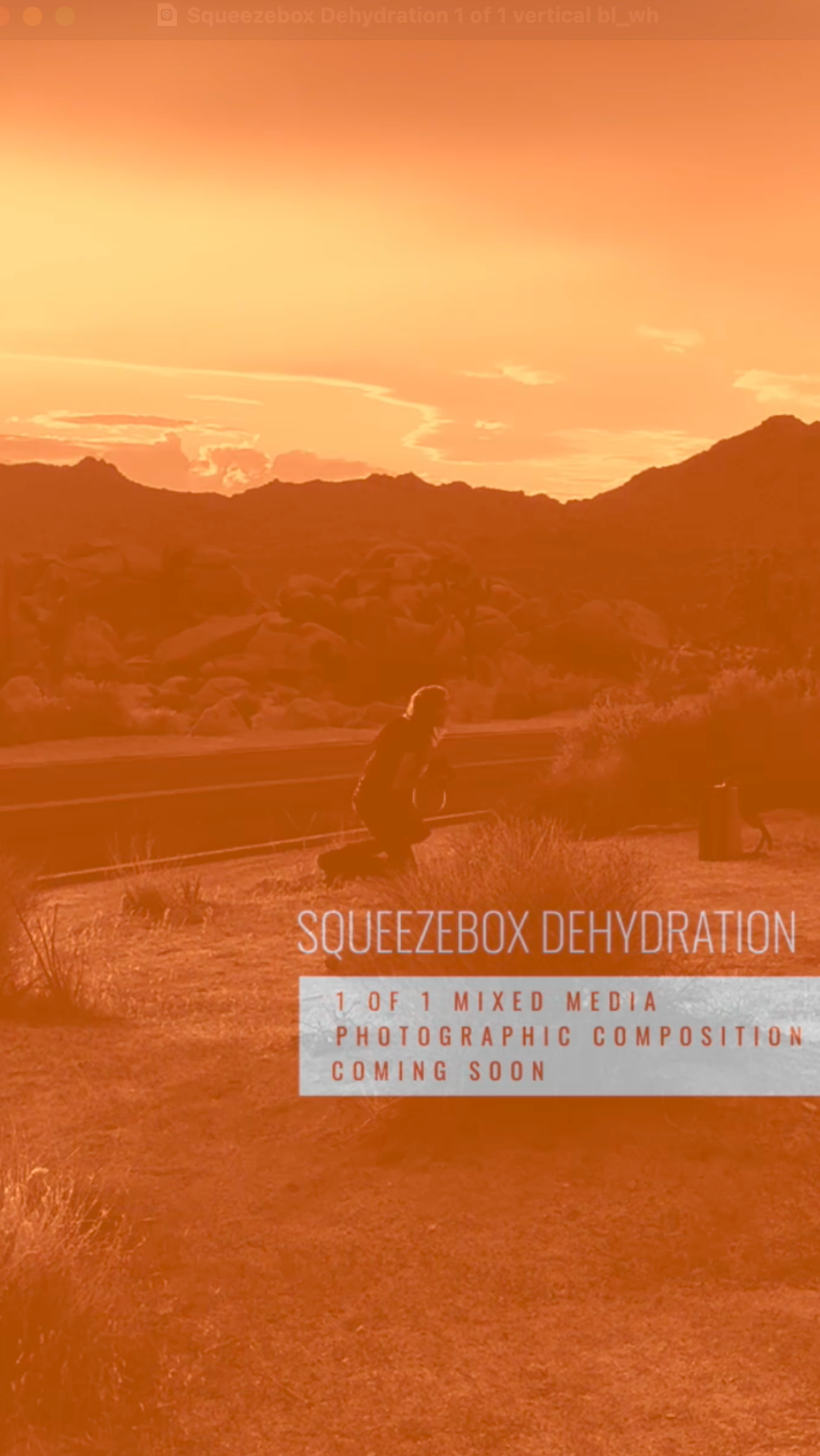 Surreal landscape with a person on a bench under an orange sky, featuring text about Squeezebox Dehydration.