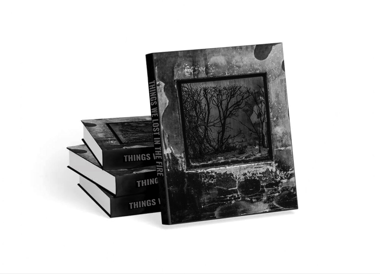 Black and white fine art photography books stacked with one book standing upright with bush in frame image