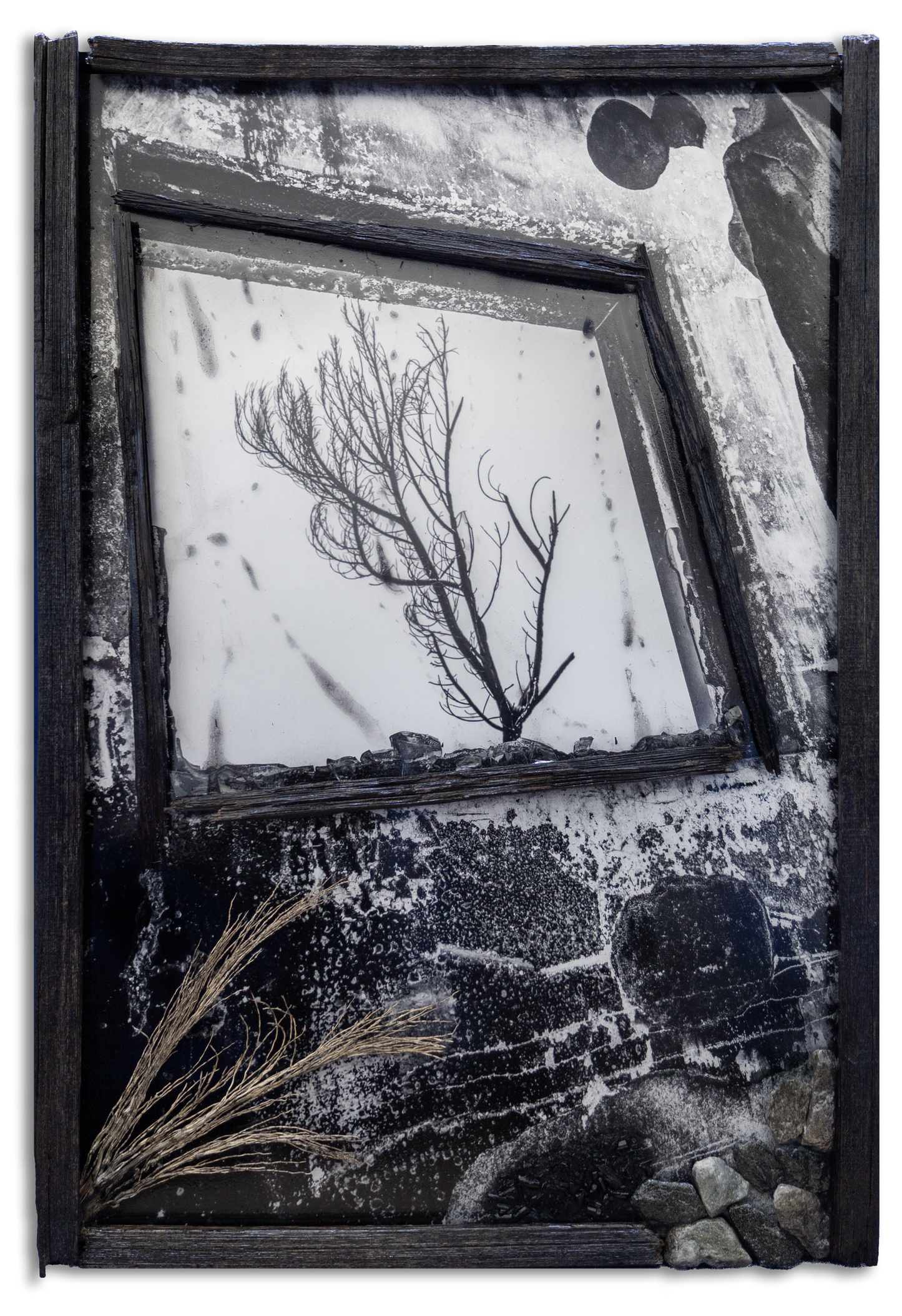 Artistic black and white collage with a burnt tree through window frame and textured elements.