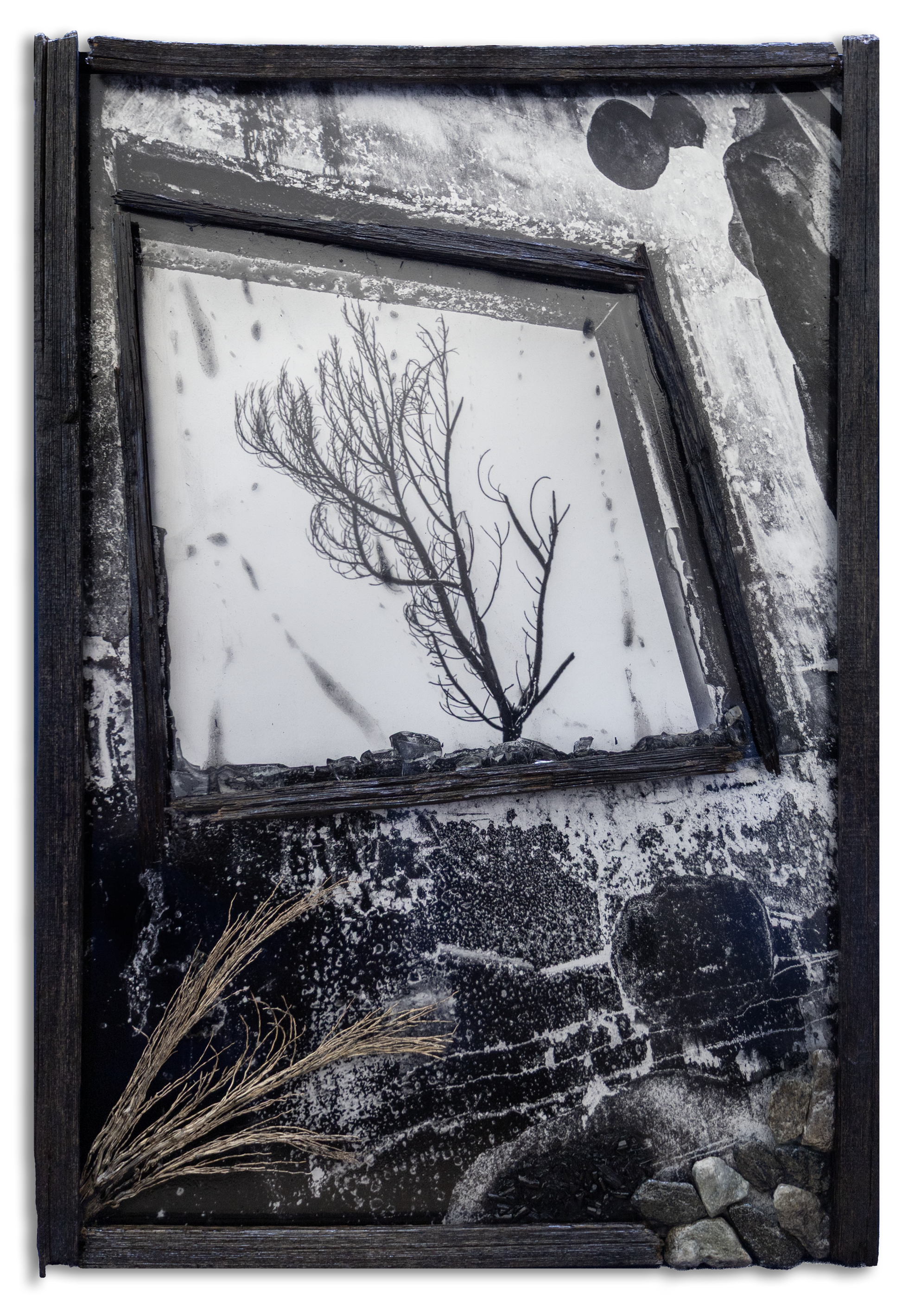 Artistic black and white collage with a burnt tree through window frame and textured elements.