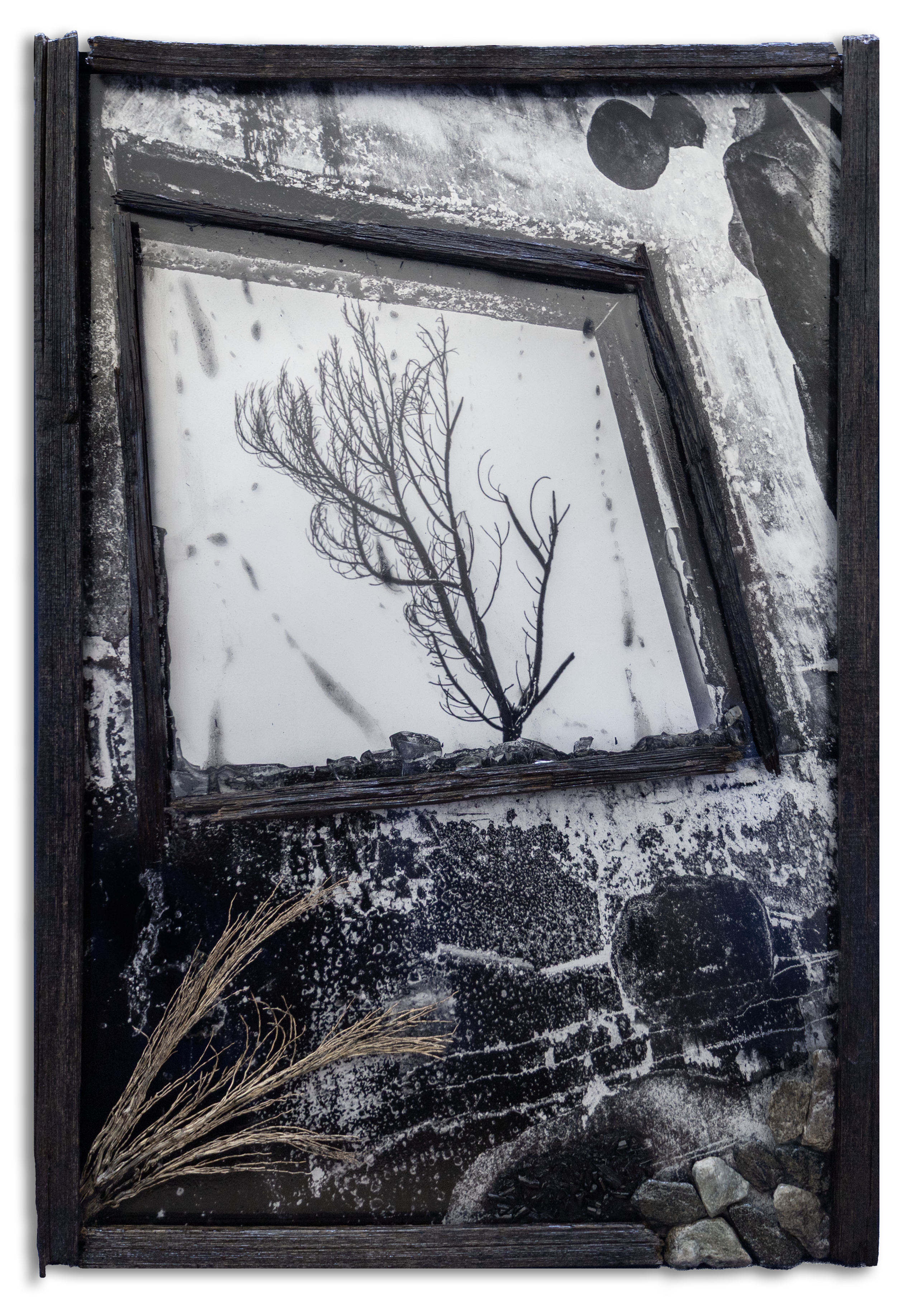 Artistic black and white collage with a burnt tree through window frame and textured elements.