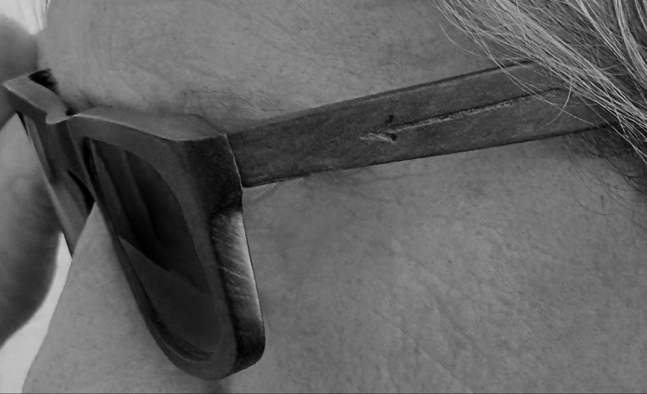 Wood sunglasses closeup arrow detail on temples worn by Mark Maryanovich in black and white