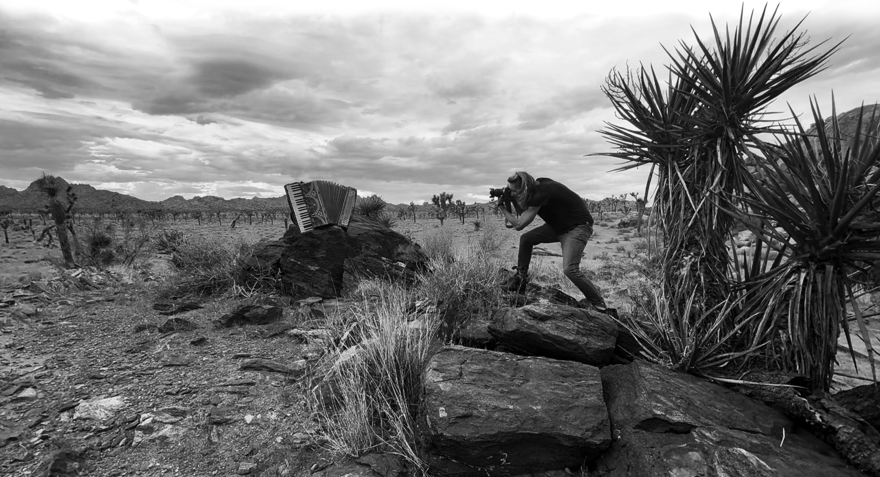 Person with an accordion in a desert landscape under a cloudy sky