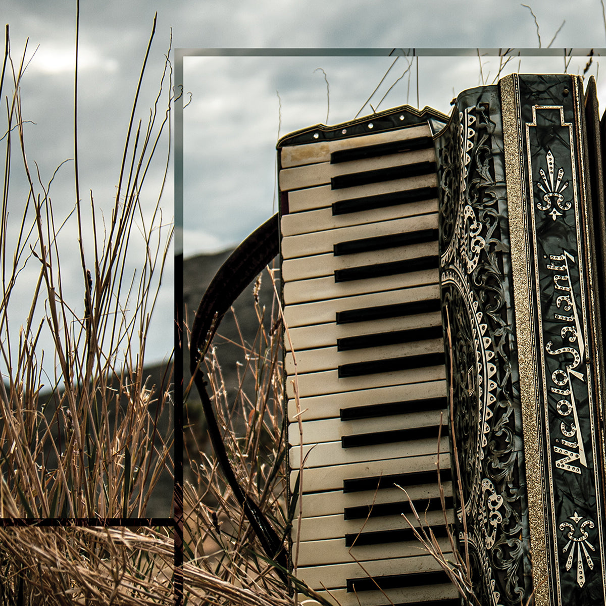 Accordian in a field with a cloudy sky