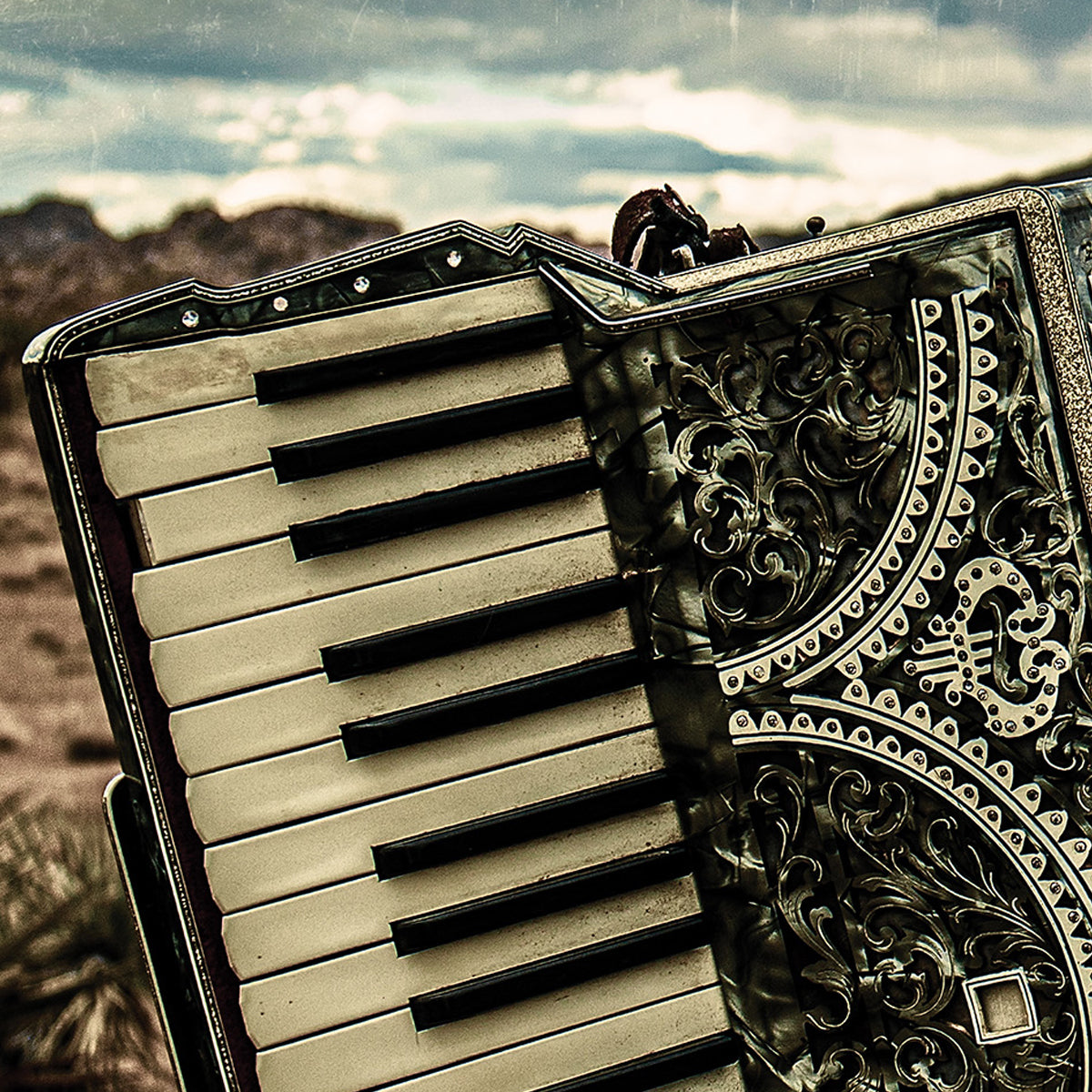 Accordian with decorative cover against a natural background