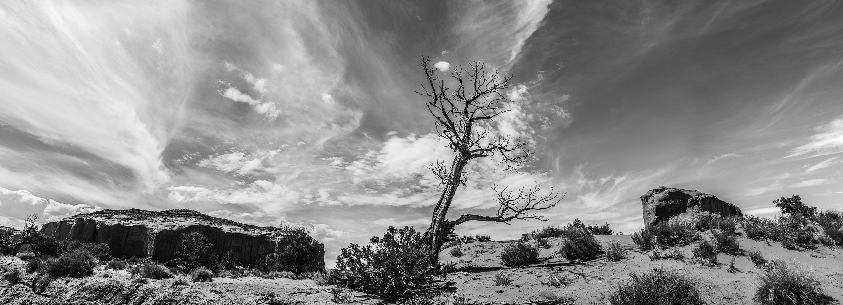 Black and white fine art photography Monument Valley dried tree against dramatic wispy clouds 