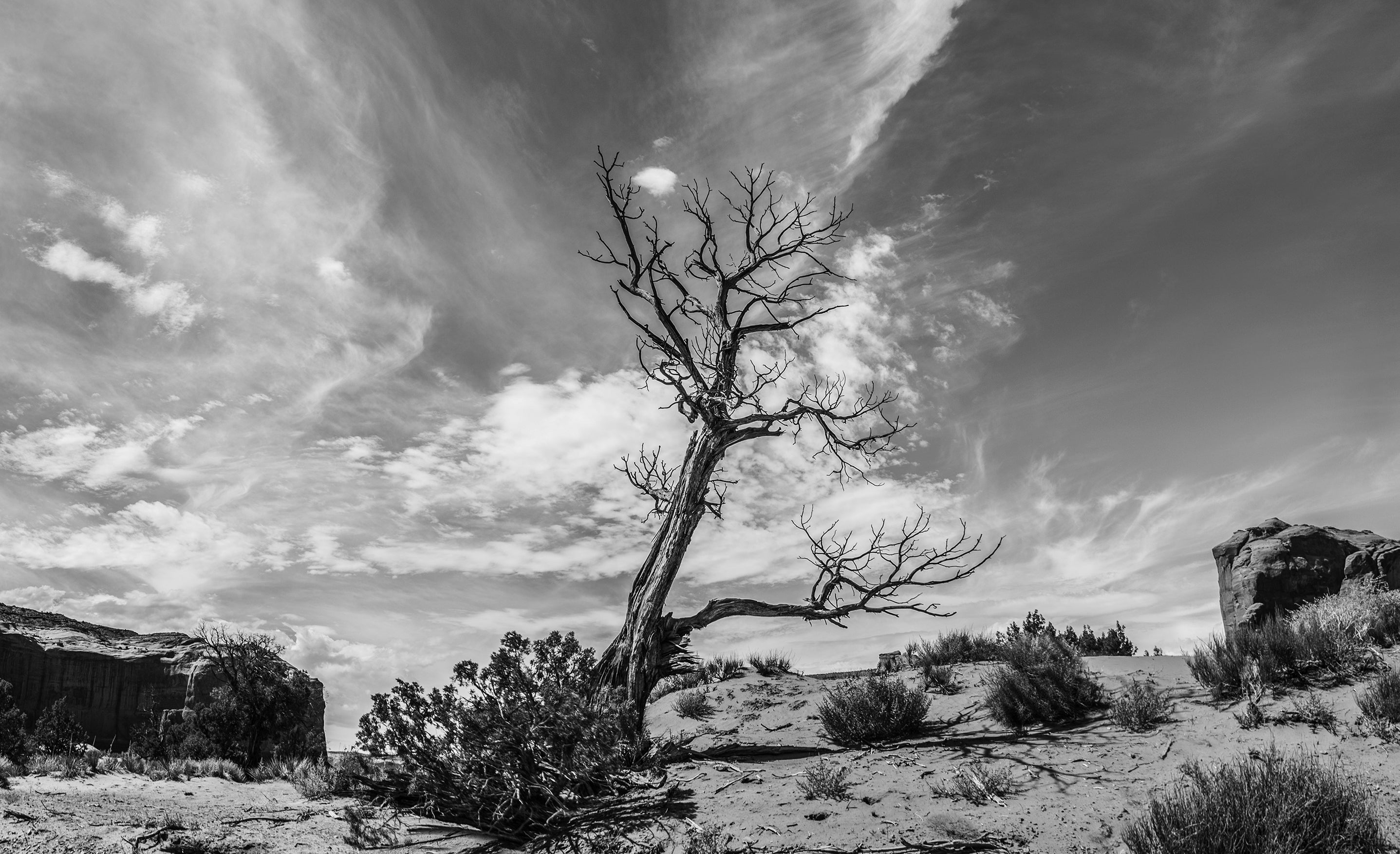 Monument Valley photographic print black and white desert tree among buttes and sagebrush against dramatic clouds and sky