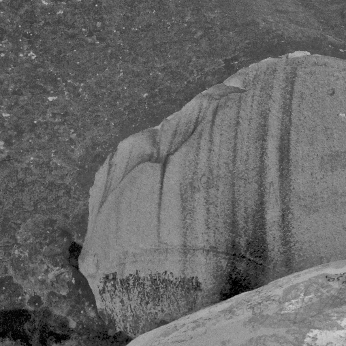Close-up of a large rock with a textured surface