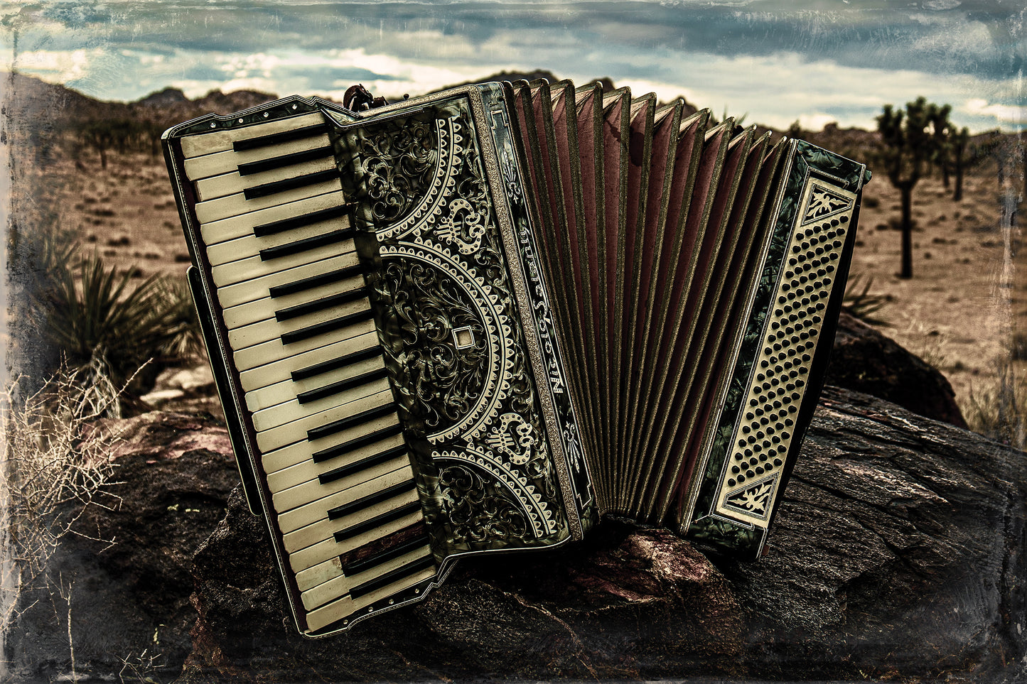 Accordian on a rock in a desert landscape