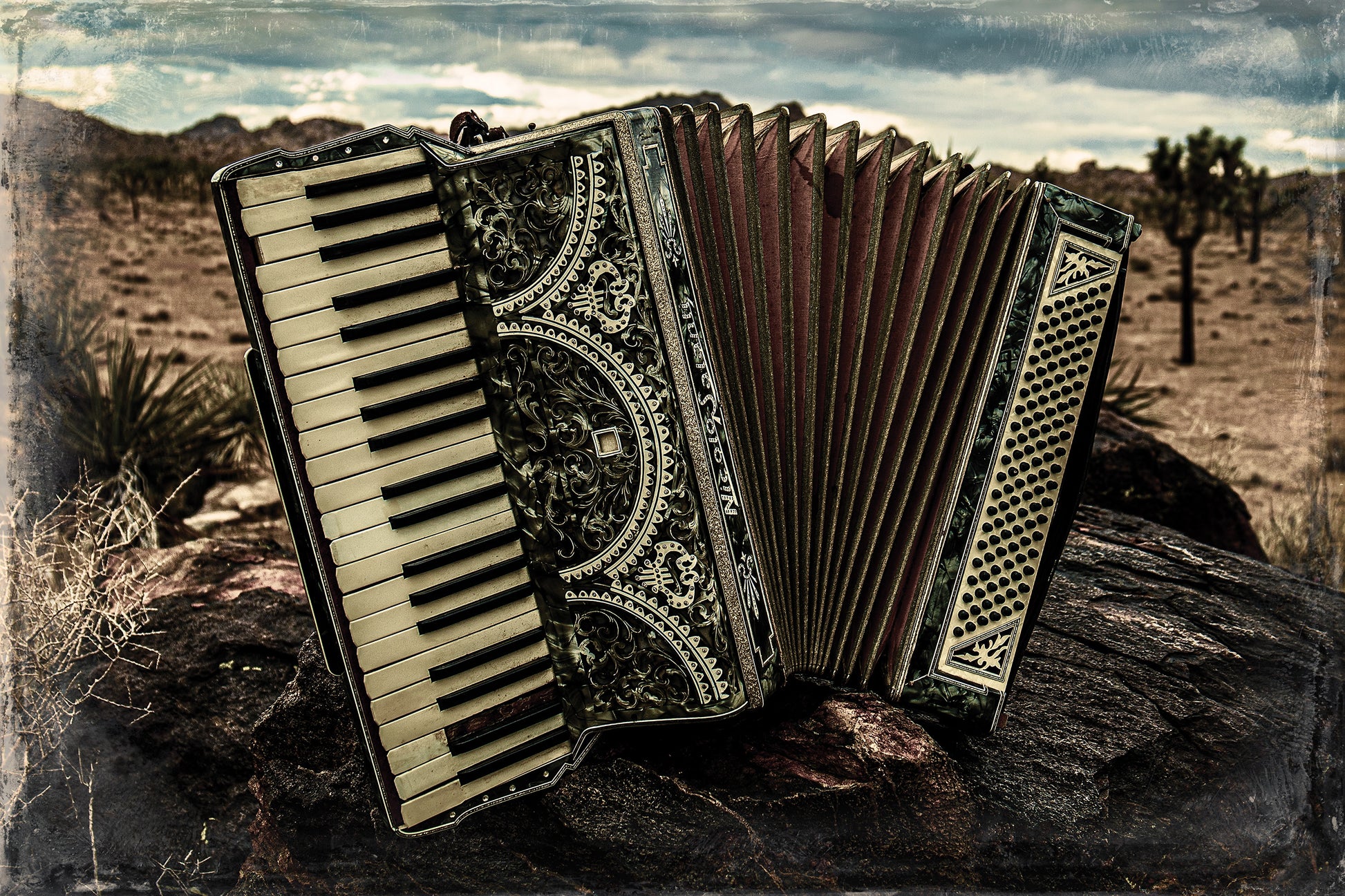 Accordian on a rock in a desert landscape