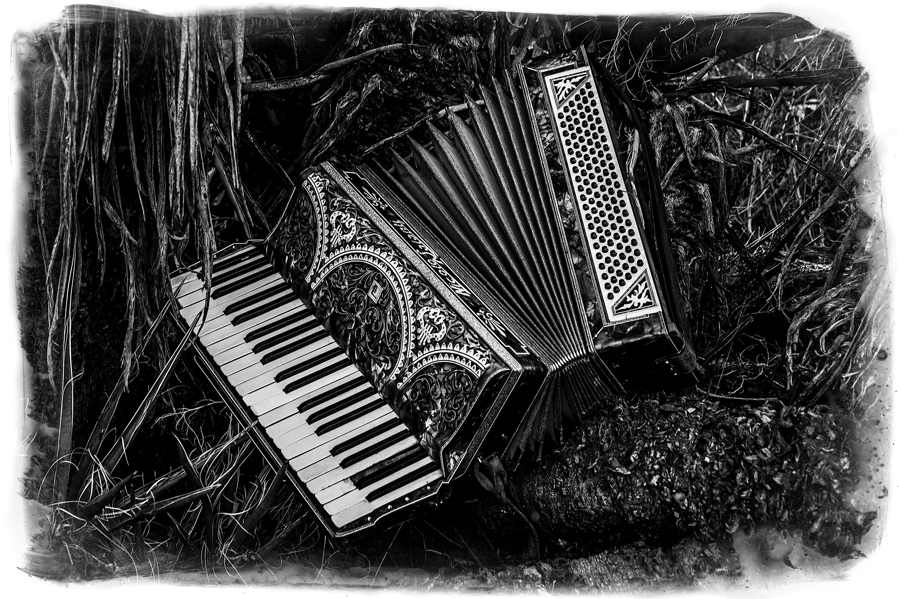 Accordian lying on grass with a black and white filter