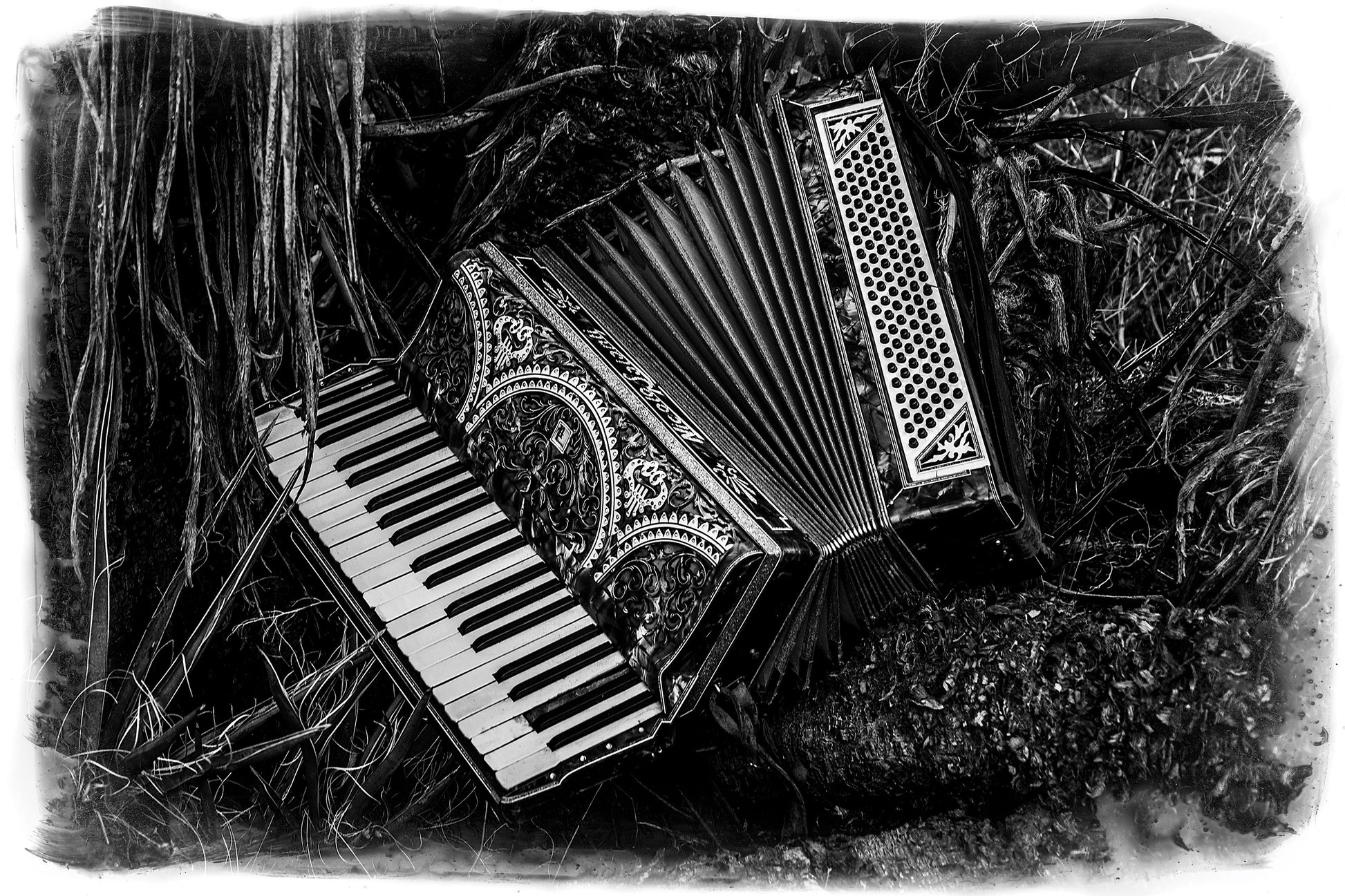 Accordian lying on grass with a black and white filter