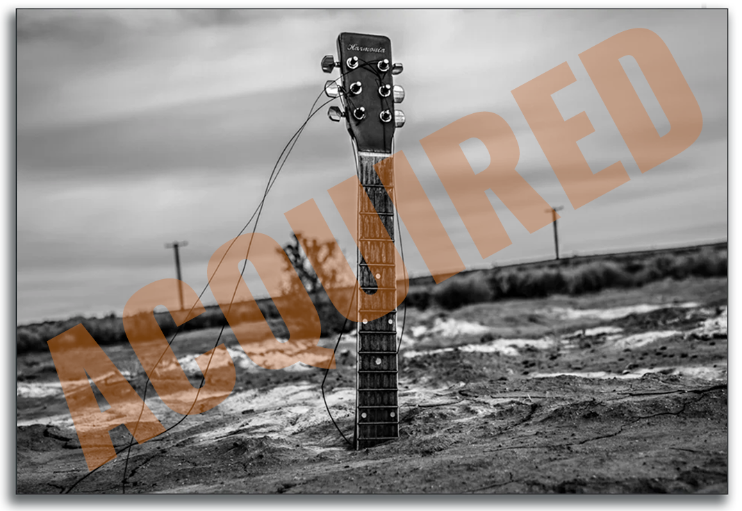 Black and white landscape with a large guitar neck coming out of the ground and the word 'ACQUIRED' in brown.