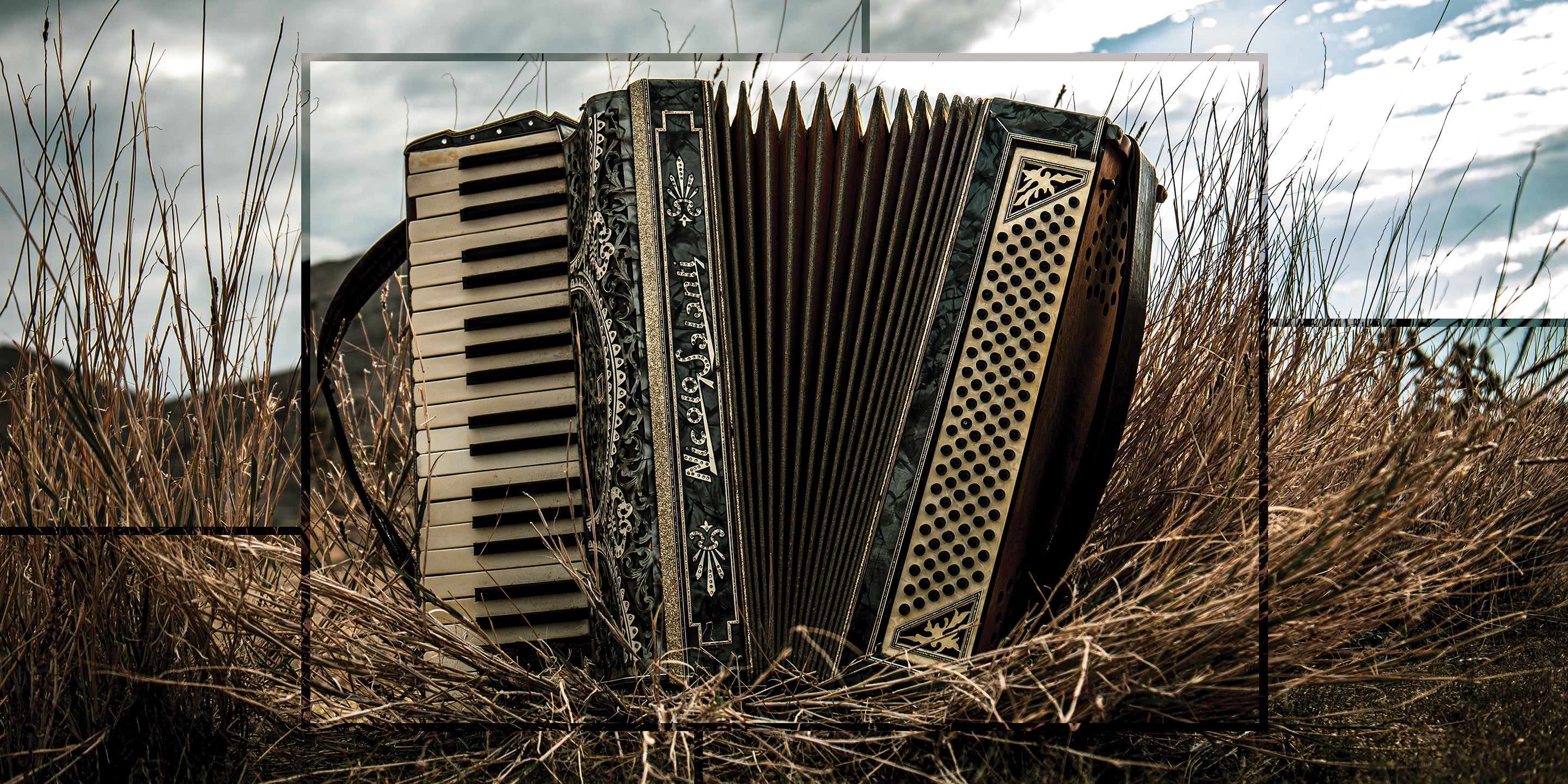 Accordian in a field with a cloudy sky