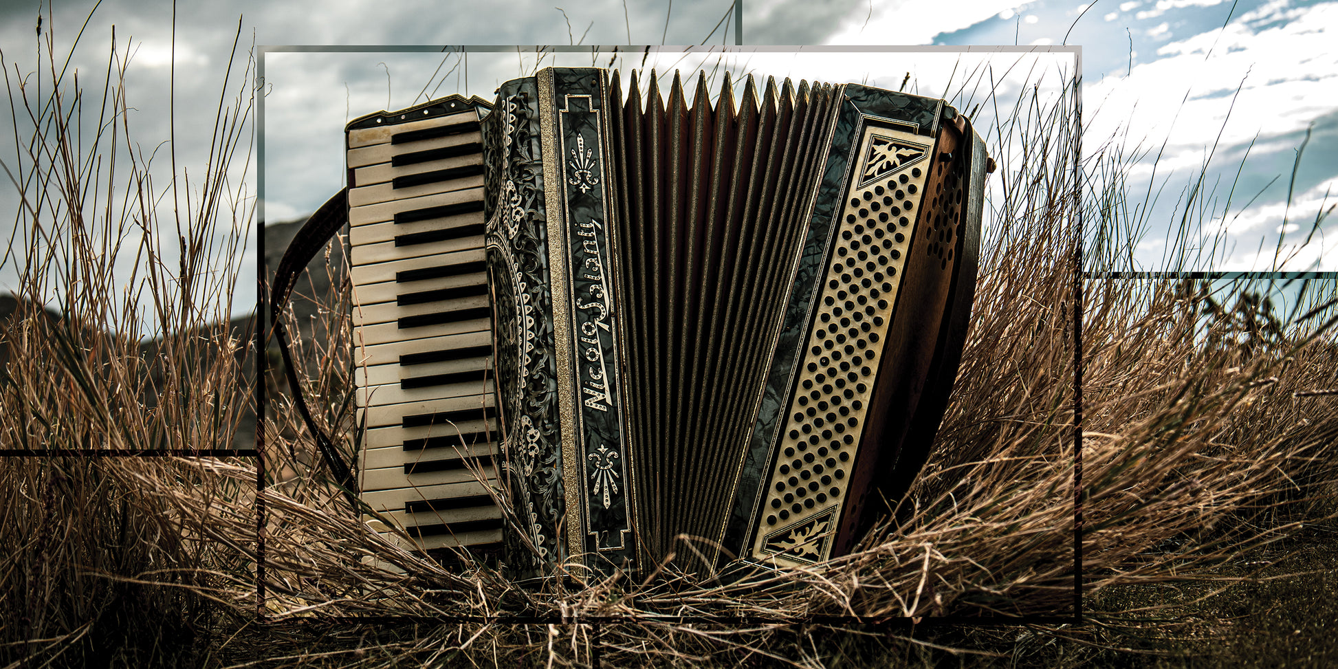 Accordian in a field with a cloudy sky
