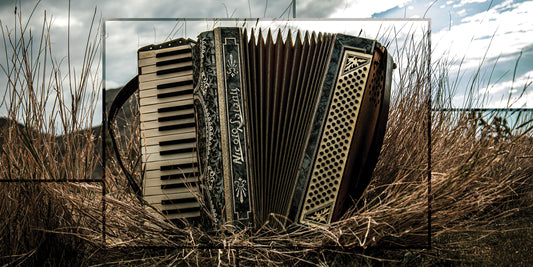 Accordian in a field with a cloudy sky